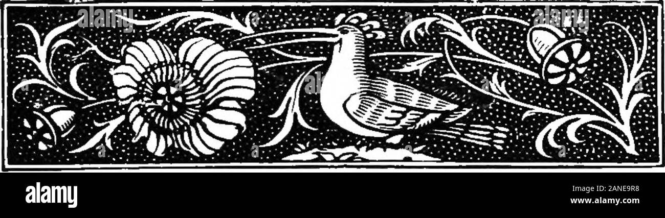 La famiglia Scratchsides: un libro per i giovani. . E firmato byhimself e due testimoni affidabili. Tre mesi si era appena passata dal tempo thatghastly grin ha illuminato Nicholas faccia, quando Dr.Abernethy liquirizia è stata osservata per il montaggio del marblesteps di Scratchsides Hall, che infatti si diffuse come wild-fireamong la buona dames nel quartiere e theychattered derisively che Nicholas è stato ancora una volta un 60 LA FAMIGLIA SCBATCHSIDES. malato immaginario, con la vecchia lamentela che infuria, withinhim. Presto il Dottor Von Tenpills è venuto in e dopo di lui,iscritti medici femore e pestello, grandemente alla Foto Stock