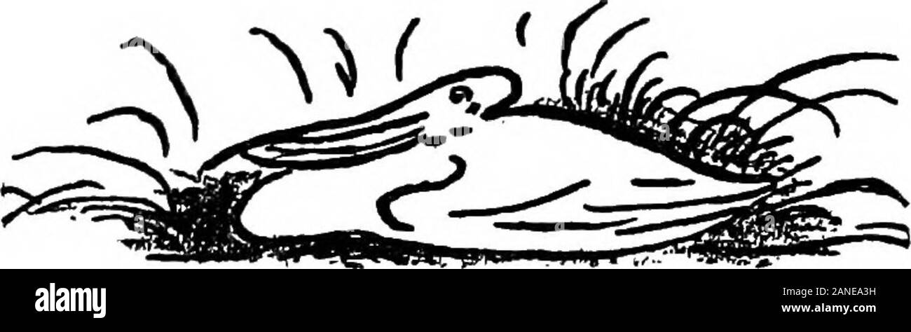 Dubbio e altre cose, versetto e illustrazioni . [203] digitalizzato mediante Microsoft® un cinese immagine passando da un mare di zaffiro un isola di smeraldo ho espy, dove sognare in un cielo turchese nuvole di perla tratto pigramente, mentre al di sotto di una golden tree, un po' di cervi per la società. Un vecchio saggio si siede in ripristina. Nessuna modifica mar questa pacifica sceneUnvarying di anno in anno.Il suo prato smeraldo è sempre greenAnd su di essa risiede la pezzata cervi.Le nuvole di perla sogno oer il seaWhile nel profondo del pensiero al di sotto della salvia treeThe rimane in ripristina. Dove risiede il fascino? In immutata sky?o respira da zaffiro Foto Stock