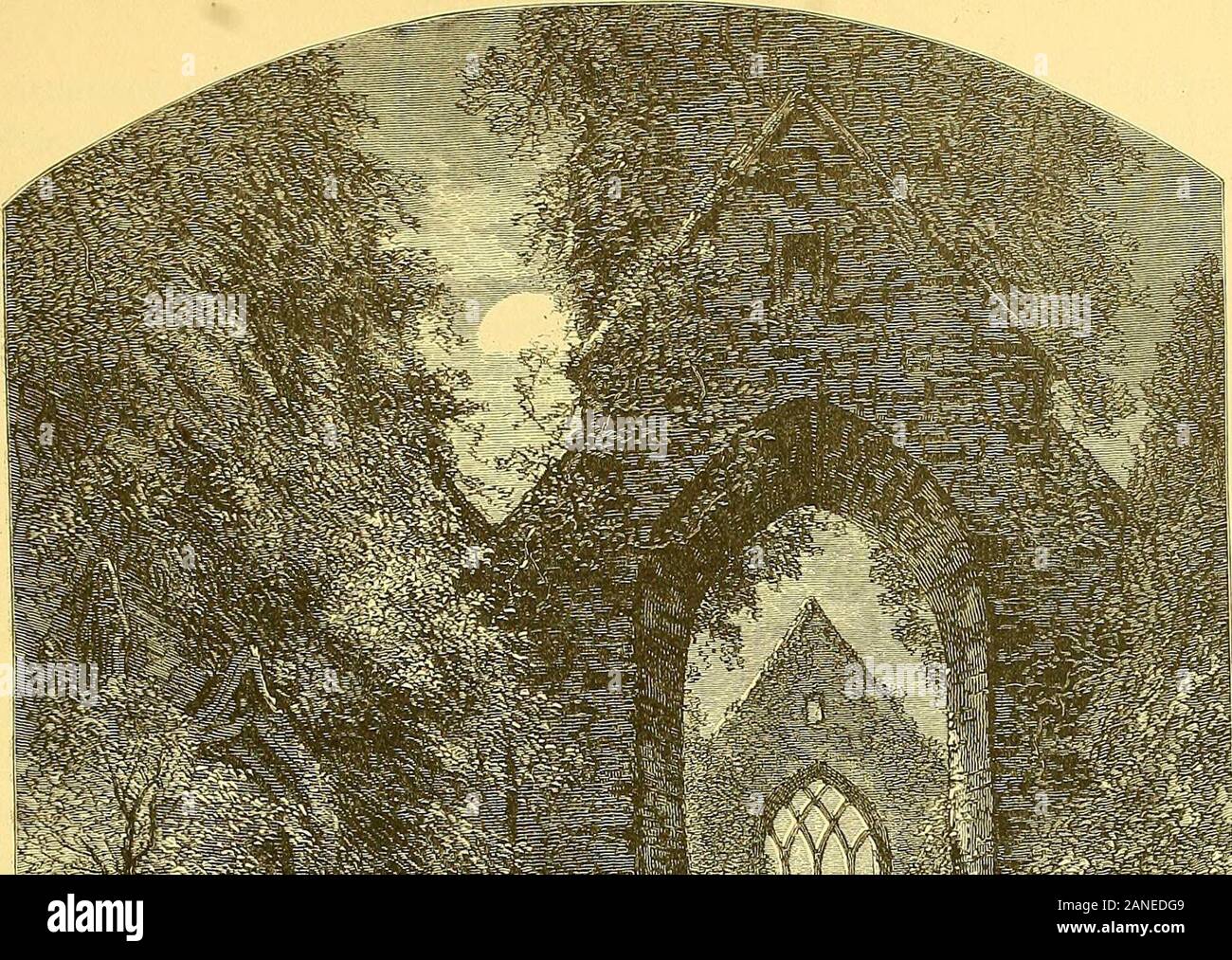 Il pittoresco Irlanda : un letteraria e artistica la delineazione del paesaggio naturale, posti notevoli, storiche antichitá, edifici pubblici, antiche abbazie, torri, castelli e altri romantici e interessanti caratteristiche di Irlanda . Hi/Ill. di andare Giiffin aiuto. S-!^ ^f^- t* ho Foto Stock