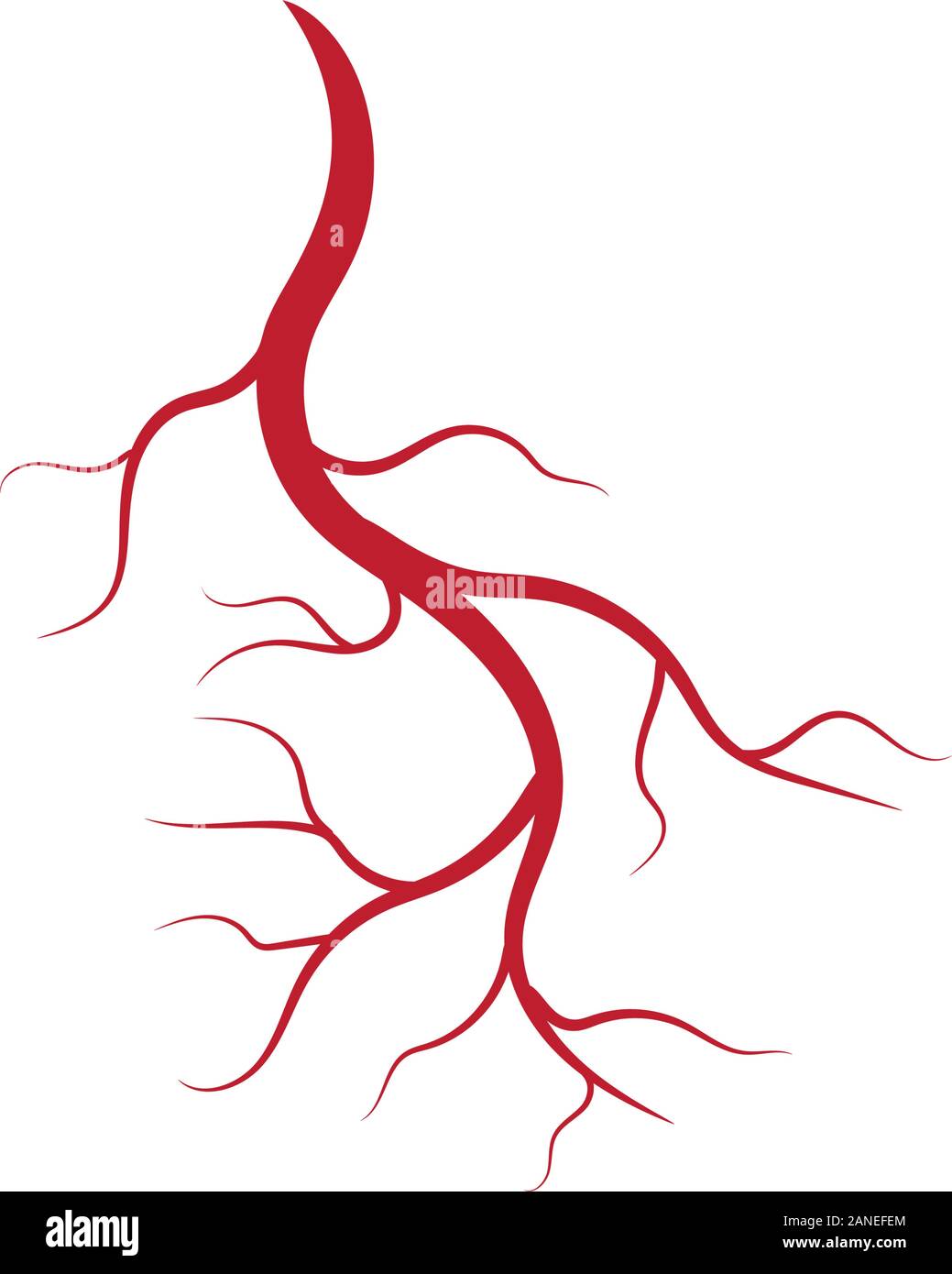 Human vene e arterie illustrazione del modello di progettazione Illustrazione Vettoriale