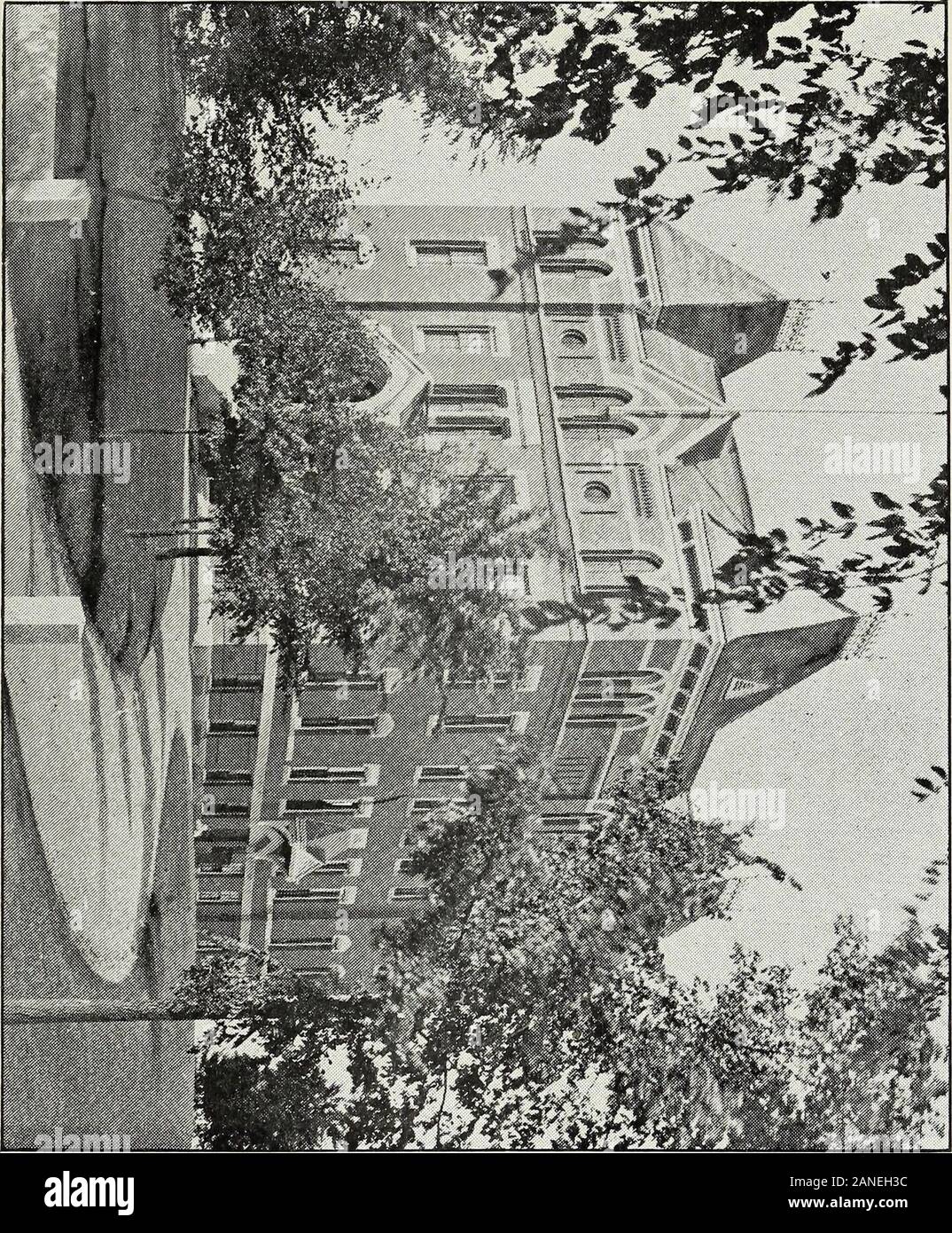 Relazione annuale della città di Somerville . square e parti di Somerville e Webster viali .Nathan ciuffi ParkOverlay e di abbattimento .un eccesso su SalesProperty fiscale e del debito di BalanceReduction DebtSchoolhouse finanziati in Ward due, Prospect Hill District .Schoolhouse, Edgerly inoltre,Semi-Centennial CelebrationSewers . .Di varie persone prestiti temporanei . .Manutenzione del acqua .acqua-opere estensione $89,653 03 53.000 00 335 44 1,752,351 58 888 405,143 965,571 00 573 00 175 00 50 6,669 179,403 80 1,722 00 [,194,500 00 09 4,102 3,408 2,402 55 74 102 13 58 557,851 40,081 71 890 008,782 50 164 893,106 25 Foto Stock