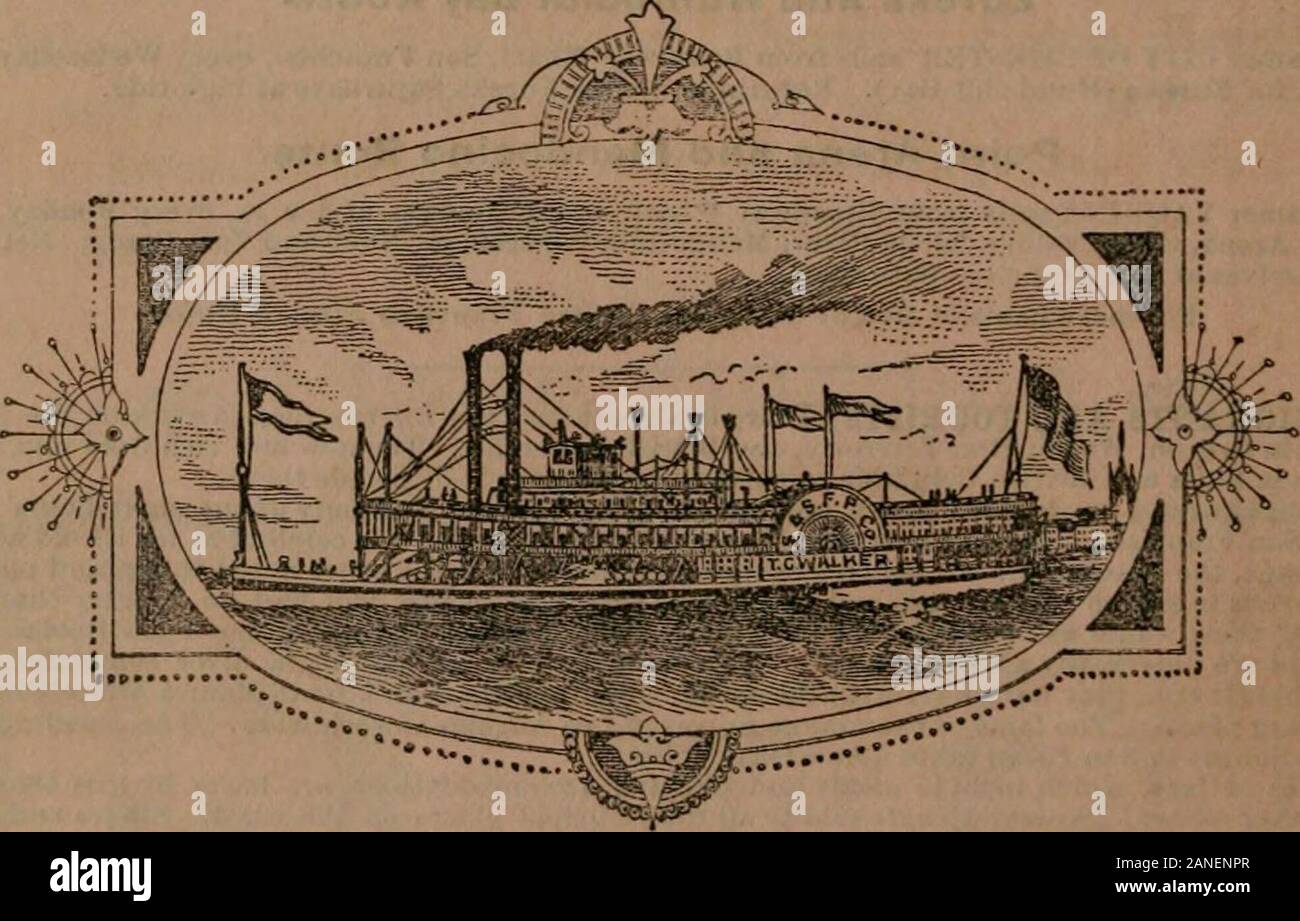 McKenney della costa del Pacifico per la directory .. . Conigli, CANARIESANDLOVE UCCELLI,gatti maltese Particolare attenzione è chiamato al mio cucire chiocce per giovani polli, Turkeysetc. Incubatori di tutte le varietà conservate sul lato e per la vendita. Lavoro a rete di filo per PoultryYards, stie, carne e verdura Choppers, Shell, scarti di carne di maiale, pollame medicinali, gabbie, ecc. Il pollame chiocce e incubatori in mostra a platea 12 e 38 Mercato Centrale, angolo di Dupont e Sutter Sts.,San Francisco, (al. Inviare per il listino prezzi. W. C. TYLER, Presidente. A. S. REID, Segretario. F. H. KELLOGG, Vicepresidente. STOCKTON E SAN FRANCISCO Foto Stock