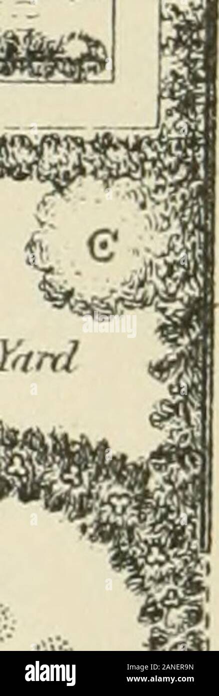 L'arte di abbellire casa suburbana motivi di piccole extentWith descrizioni delle belle e hardy arbusti e alberi cresciuti negli Stati Uniti . T/|i ^^Ml mi ^-^ 1%. Foto Stock