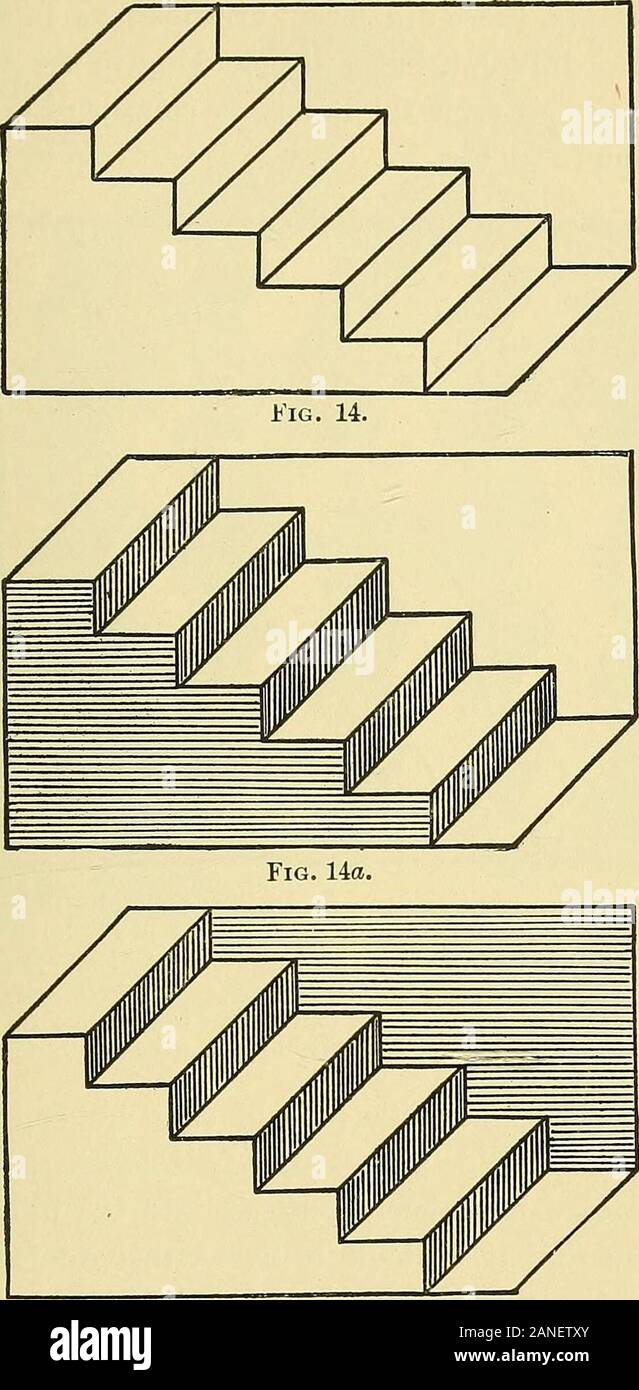 Fatto e la favola in psicologia . Egli sfondo, che in sezione trasversale potrebbe essere un isoscelestriangle con un grande angolo ottuso o uno spazio di forma simile hollowedout del solido in legno o in pietra. In esecuzione l'occhio lungo il pattern, itis interessante osservare come variamente i modelli variano da uno queste aspetti all'altro. a sinistra, e ora le superfici nere hanno cambiato andhave diventano le cime, rivolto verso l'alto e ai leviti. Per alcuni cambiamenti a venire sarà; per othersthey sembrano venire inaspettatamente, ma tutti sono aiutati byanticipating mentalmente la natui-e della trasformazione.Il FEP Foto Stock