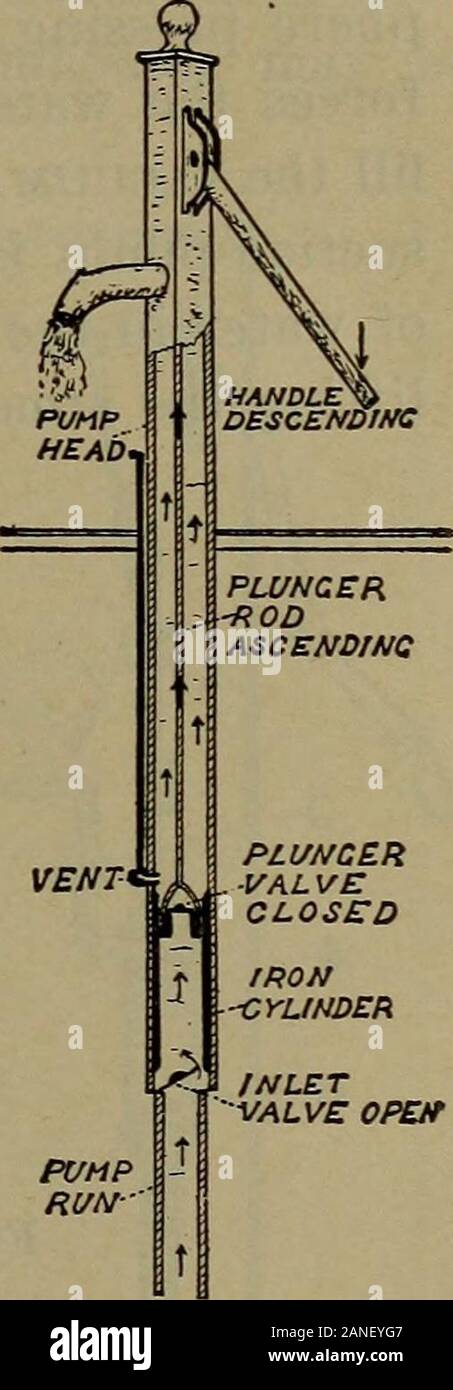 La scienza per principianti . -Ting strettamente in questo cilindro è la benna plungeror. Questo stantuffo o benna, carriesthe stantuffo-valvola che si apre facilmente up-ward ma che impedisce qualsiasi acqua aboveit dal passare verso il basso. Il plungeris viene sollevata e abbassata mediante theplunger-asta, attaccata alla pompa-manico.Montaggio strettamente nella estremità inferiore del la testa è la pompa-run, o l'aspirazione-tubo. Nel comune di legno thisrun della pompa è di circa 4. quadrata e presenta un foro di circa IV2 o 2 in.di diametro annoiato per tutta la sua lunghezza. Al finedi inferiore del cilindro, al di sotto del pistoncino, è una seconda valvola, leviti Foto Stock