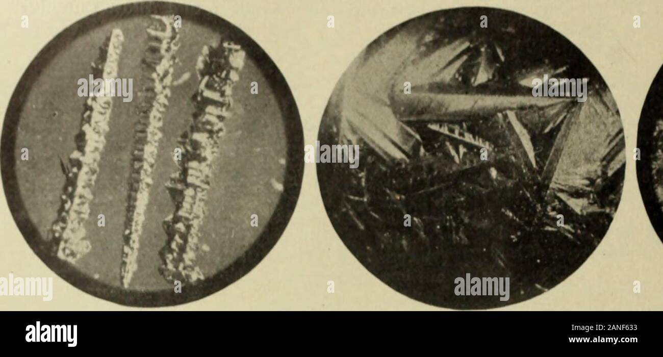 Elettrochimico e metallurgico industria . FIG. 2.-silicio CRVST.ALS X 34. •Un documento presentato prima della American Electrochemical Society,Boston meeting . ^relazione presentata al Terzo Congresso Internazionale dei Farmacisti a Vienna. Stahl und Eisen, 7 marzo e 15, 1899. * La ristampa di lettura della carta presso l'Istituto di Ingegneri Civili. Il metallo-lographist, vol. 1, pagine 135, 136.*AnnaIes des Mines, ottobre 1900. Traduzione in i produttori americani, febbraio 12, 1903, dal ComptesRendus. Ufficiale di ferro e .Steel Institute, 1900, n. 11.Moissan, forno elettrico, Eng. edizione, pagina 69. I-LFCTR(^(^FII-MrcAT. Foto Stock