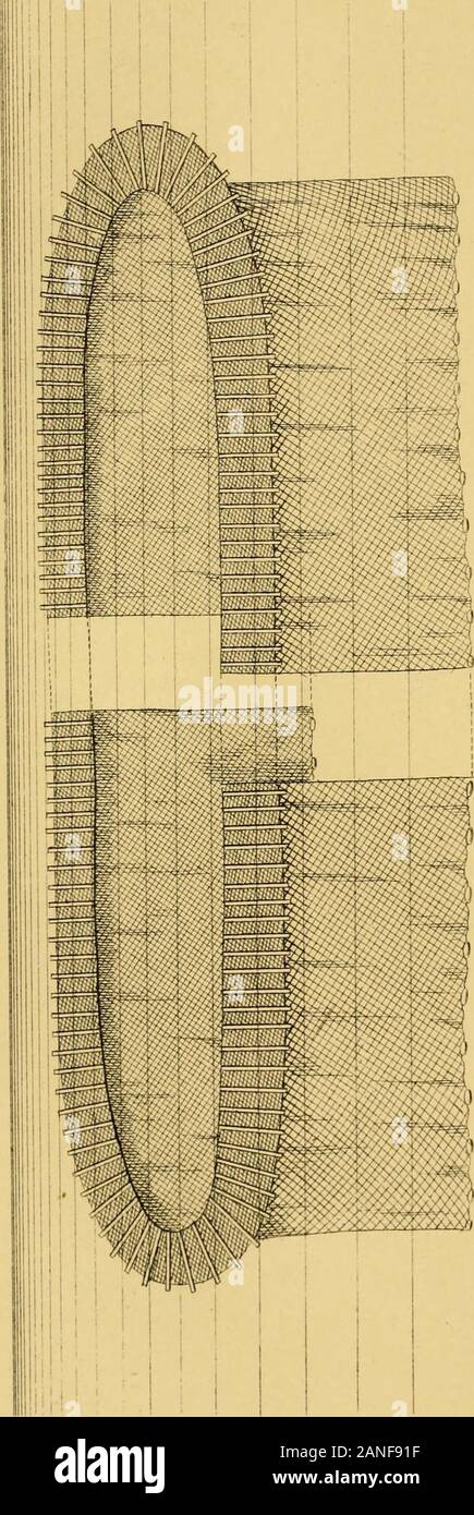 La pesca del Mare Adriatico e il suo pesce : una relazione dell'Impero Austro-ungarico sea-pesca : con una descrizione dettagliata della fauna marina del golfo Adriatico . mattina. Mesh, 26 mm. in diagonale; lunghezza,100 m.; profondità di 4 m. ; Prezzo di 50 fl. Il Bobera (Posta di bobe, croata. Bukvare) è una massa-net per il boga,sgombri, sugarelli e mendole. Mesh, 35 mm. in diagonale;lunghezza, 20-100 m. ; Profondità, 6-7 m. ; Prezzo, 20-80 fl. In molti luoghi thisnet è utilizzata per il tipo di pesca noto a.s pesca da ludro. Il Scombrera è una minore massa-net per sgombro (Scombri). Lunghezza,5 Foto Stock