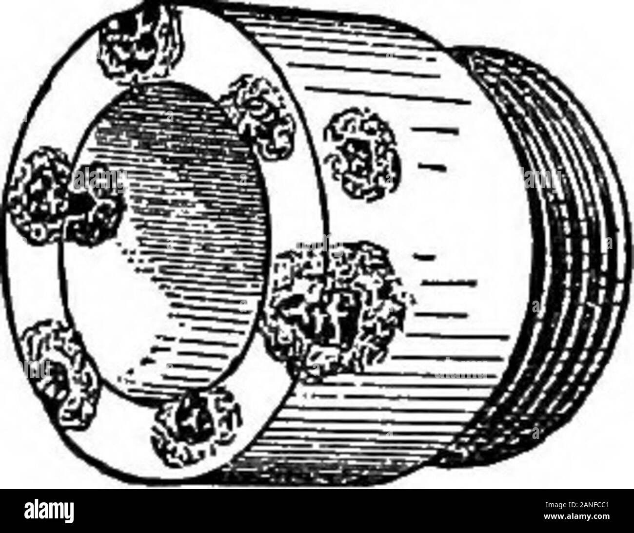 Il encyclopdia britannica; un dizionario delle arti, delle scienze della letteratura e informazioni generali . Fig. 8.-piccolo campione perforatrice da roccia. Fig. 9.. Fig. 10.Diamond Trapano. nei lavori in sotterraneo delle miniere, piccole e macchine compatte sono talvolta montate su colonne (fig. 9). Essi diedero IJ per l,^. fori a profondità di 300-400 ft., nuclei essendo | A I. di diametro. A mano con punte di potenza sono anche costruito. In South African goldfields diversi diamond trapanare fori da 4500 a 5200 m. di profondità sono state con successo annoiato. Velocità di avanzamento per il core-foratura a profondità moderate normalmente nel campo da 2 a 3 ft. Foto Stock