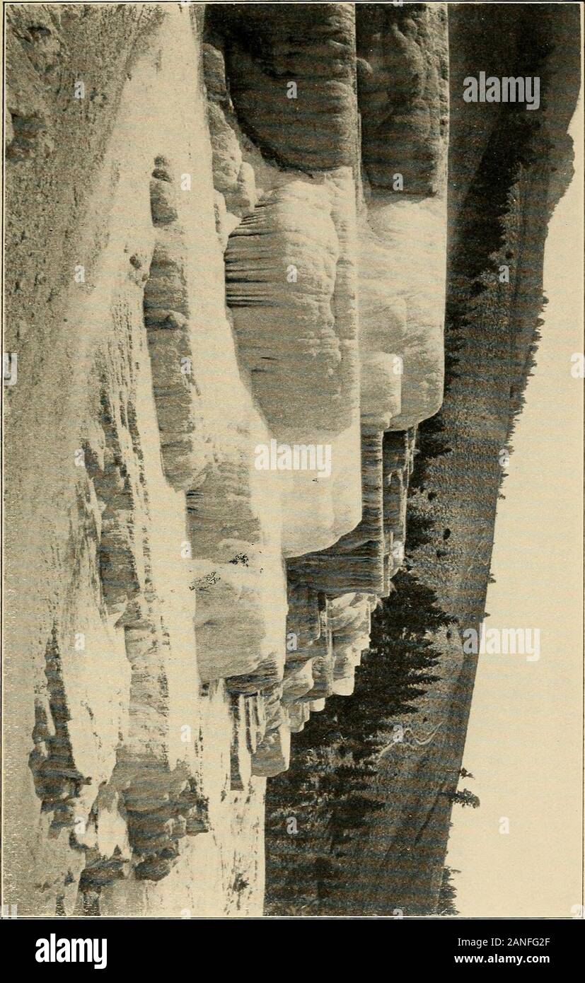 Viaggi in Europa e in America . brisk trotto su comode strade,costruito dagli Stati Uniti ingegneri, attraversoil valle del fiume Gardiner. La corsa è esilarante e il paesaggio impos-ing. A est sono le maestose cupole della gamma theYellowstone. Sei Miglia di deliziose drivingbring noi per un giro in strada, che rivela un mostcurious funzione del parco. Liberty Cap, appropriatamente chiamato dalla sua forma, è thecone di un estinto geyser e sorge vicino thehotel. Si tratta di quaranta-cinque metri e alta venti metri inil base, composta da oltre a strati di lappatura ofsediment. Queste lime mausolei del vecchio ge Foto Stock Viaggi in Europa e in America . brisk trotto su comode strade,costruito dagli Stati Uniti ingegneri, attraversoil valle del fiume Gardiner. La corsa è esilarante e il paesaggio impos-ing. A est sono le maestose cupole della gamma theYellowstone. Sei Miglia di deliziose drivingbring noi per un giro in strada, che rivela un mostcurious funzione del parco. Liberty Cap, appropriatamente chiamato dalla sua forma, è thecone di un estinto geyser e sorge vicino thehotel. Si tratta di quaranta-cinque metri e alta venti metri inil base, composta da oltre a strati di lappatura ofsediment. Queste lime mausolei del vecchio ge Foto Stock