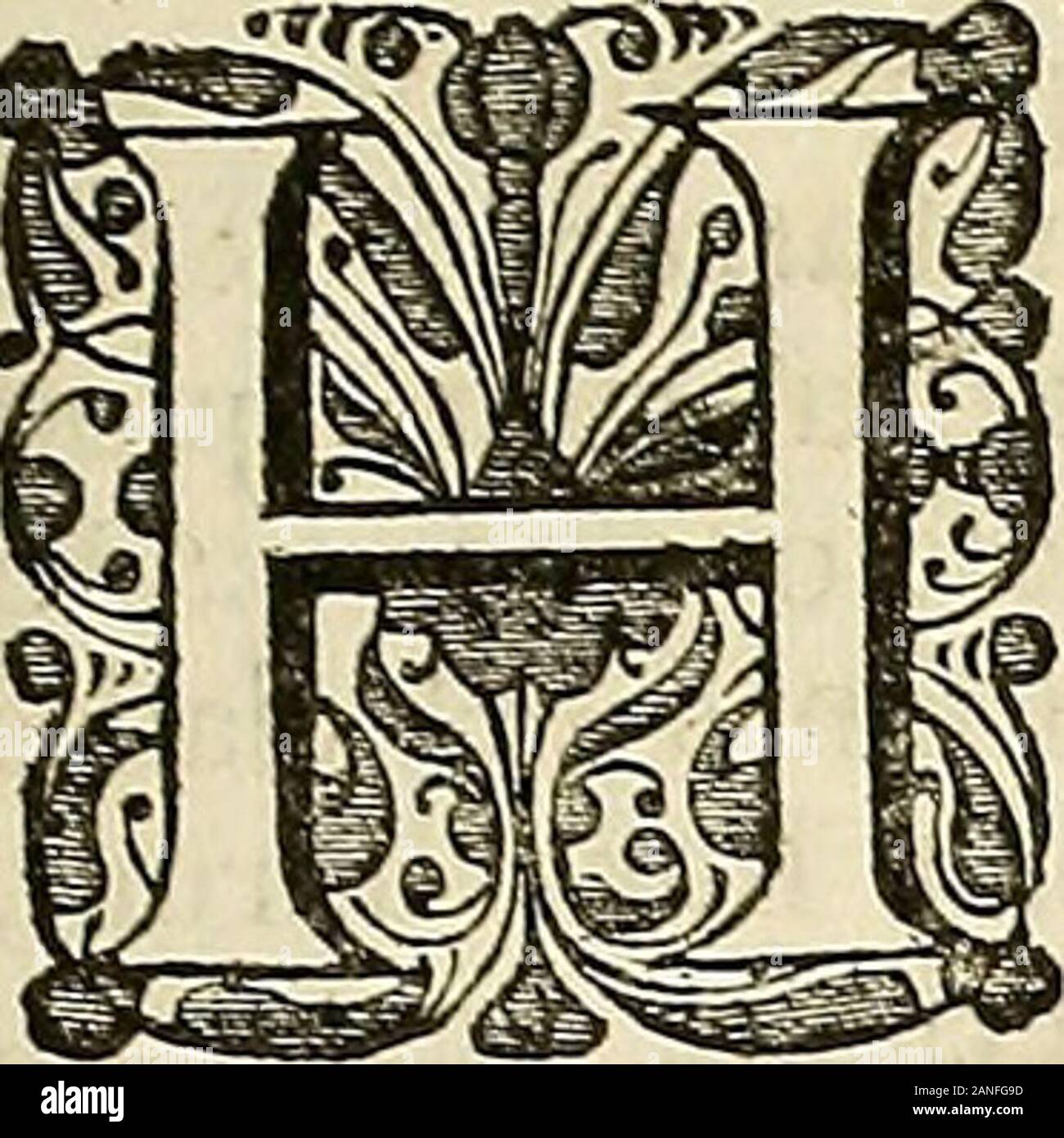 [Rerum anglicarum scriptores veteres] . nt,quod eft candidum circulum totum cenobio circumdans, quafi per diemarcus coeli abfque variis coloribus. Namque hujus candidi circuli princi-pium incipiens un cornibus bafilics noftrse Sandto Petro dedicatas, e regio-ne ubi membra noftri Epifcopi requiefcunt, in Auftralem tendens dexte-ramque partem Coenobii, ampio circumiens ufque ad Aquilonem perve-nit. Deinde continuato circulo in Euro-notum orientis coeli furfum ad-hserens finem defixit, nos vero adorantes laudavimus Dominum mirabi-lem in fandis fuis, perfpicue inteihgentes murum auxilii divini ci Foto Stock