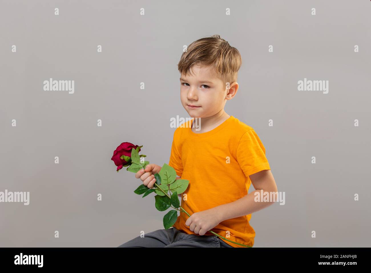 Fotografia di 5 anni del ragazzo è odore di una rosa rossa in un studio su sfondo grigio Foto Stock