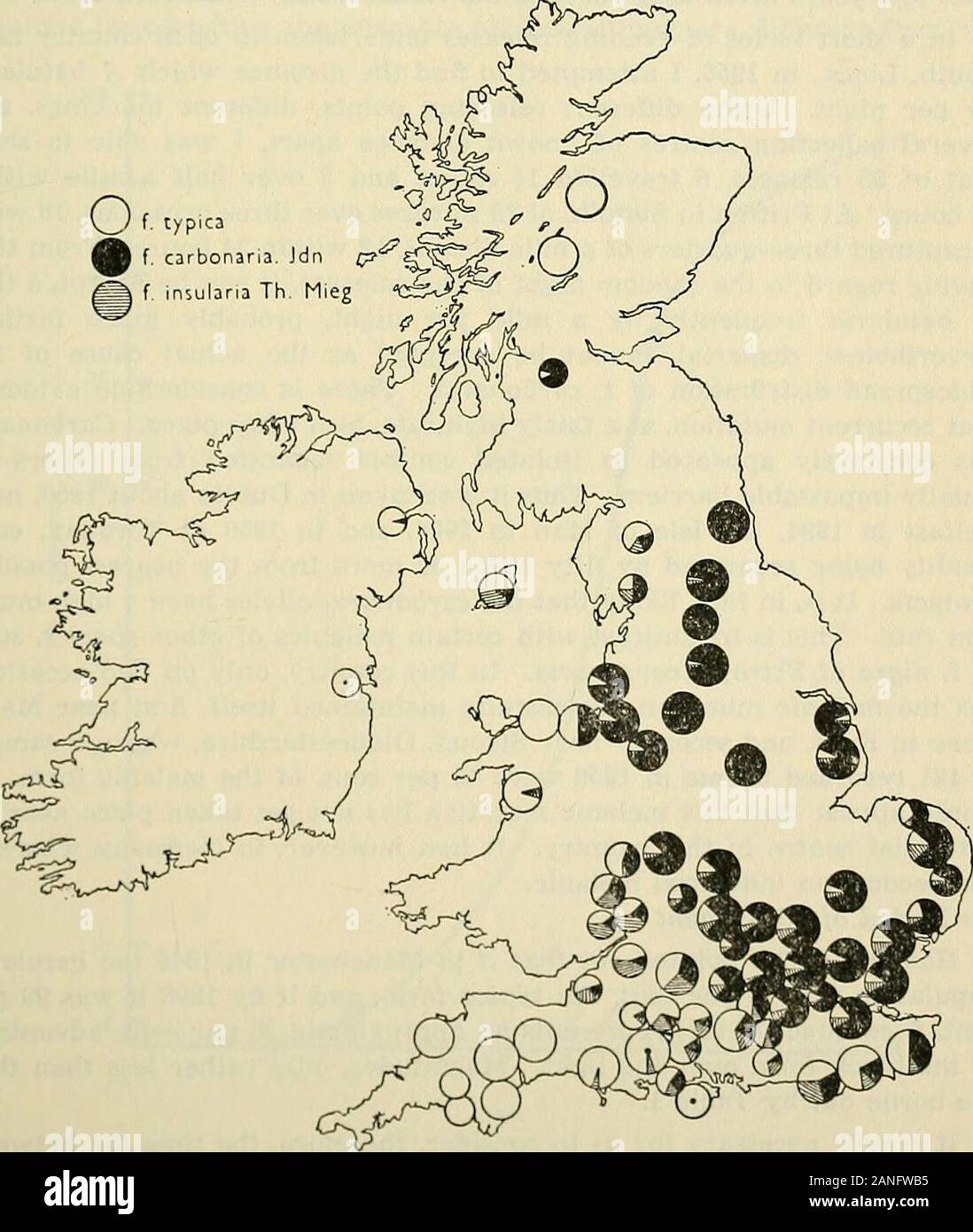 L'entomologo di registrare e ufficiale di variazione . ion ofCheshire, Lancashire, Cumberland e Westmorland (Kendal), arevirtually libero melanico. Un 12-anno di indagine LE FREQUENZE DI BISTON BETULARIA (L.) 201 (d) Scozia settentrionale non ha alcun betularia melanico ma nel Glasgowdistrict f. carbonaria è di circa il 90 per cento. (E) In Irlanda, carbonaria è stata registrata prima nel 1894 dal quartiere theBelfast e anche più tardi di Dublino, ma è raro. Esso hasbeen che non si trovano in nessun altro posto. Non sembra avere molto diffuse thereyet. (F) La mappa mostra più clines in esecuzione fuori dalla maggiore Foto Stock