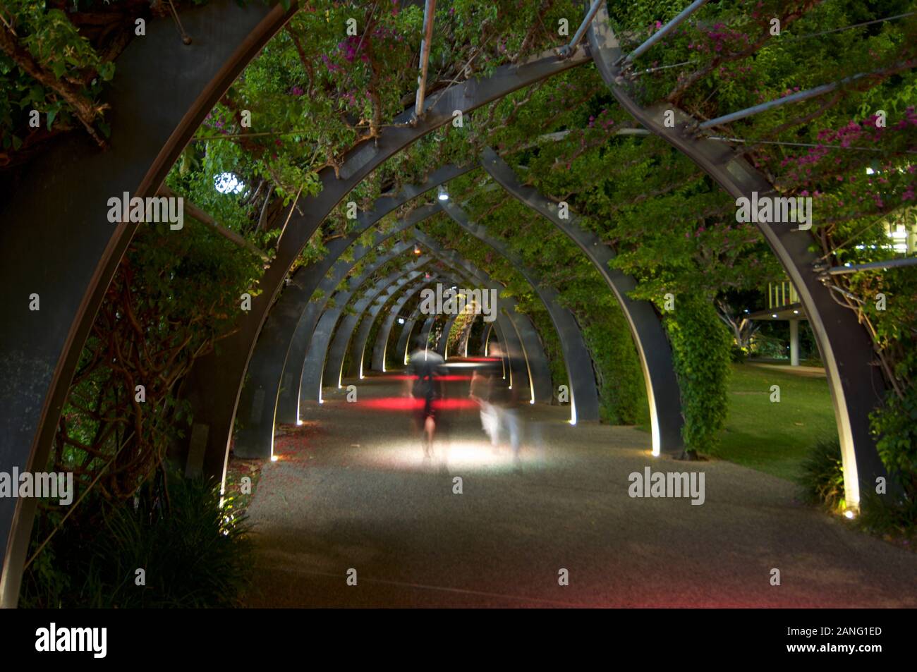 Una lunga esposizione di persone a piedi attraverso il Grand Arbour in South Bank Parklands a Brisbane durante la notte. La struttura funziona come un passaggio pedonale Foto Stock