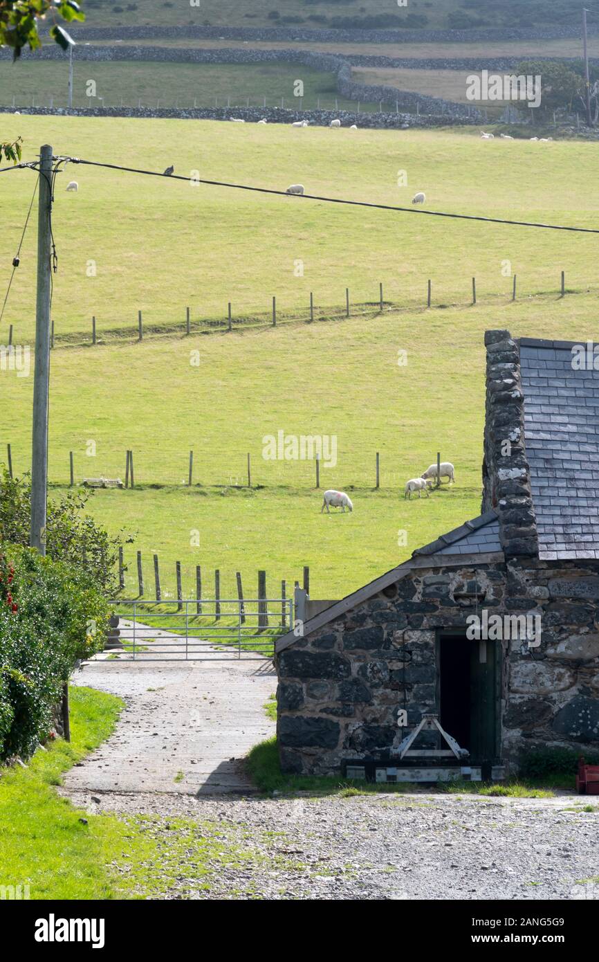 Fienile e campi in Llwyngwril vicino Tywyn (Towyn), il Galles Foto Stock