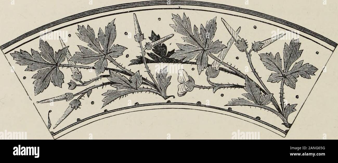Arte-studi dalla natura, come applicato al design : per l'uso di architetti, progettisti e costruttori . est, in thesatisfactory introduzione di forme in modo minuto e fragile, ancora ri-quiring così in alto un rilievo. Disegni di biancospino sarà foundin P. F. 68; T. N. O. 52. Il Herb-Robert [Geranio Robertianuni) è uno della famiglia thenumerous di cranesbills, così chiamato da una presunta resem blance-tra la forma del frutto e il disegno di legge di tale uccello, aresemblance indicato anche nel nome generico, geranio, derivato 56 arte-STUDI DALLA NATURA. dal greco geranosy una gru. L'erba-robert è uno Foto Stock
