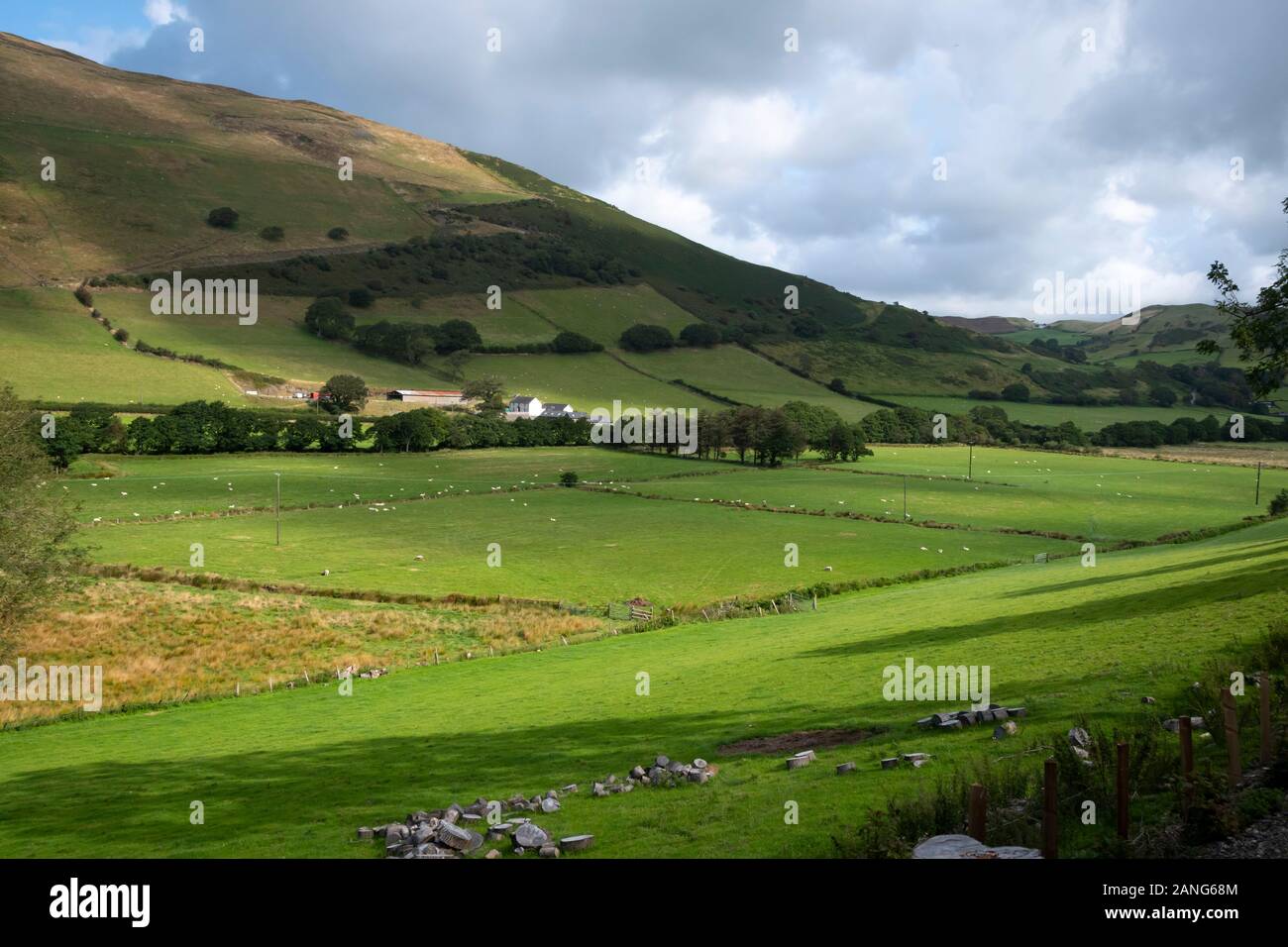 Terreno agricolo a Dolgoch, vicino Tywyn (Towyn), Galles Foto Stock