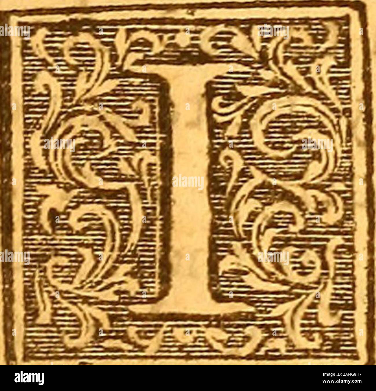 Riflessioni gravi durante la vita e sorprendente le avventure di Robinson Crusoe : con la sua visione del mondo angelick . ".&Gt;m:.-"ag"&GT;Signor;rrCT7r.Tajcm;.TKT:T:Tri=Tr^ SeriousOBSERVATIONS. Introduzione. TTMufl hanno reso molto littleUfe del mio folitary andwau1 dring lacrime^ se fuch dopo una scena delle meraviglie, asmy vita può egli juftly caltd, non avevo nulla di fay^e non aveva fatto Ohfervations ix^hich egli potrebbe ufefuland inftruBing, nonché f leaf ant e deviare toihofe che sono a venire dopo di me. Cap. I.Di SOLirVDE. Jiow uncapable per rendere i(s felice^ andHow unqualify d a una vita Chrifiian. Avere Foto Stock