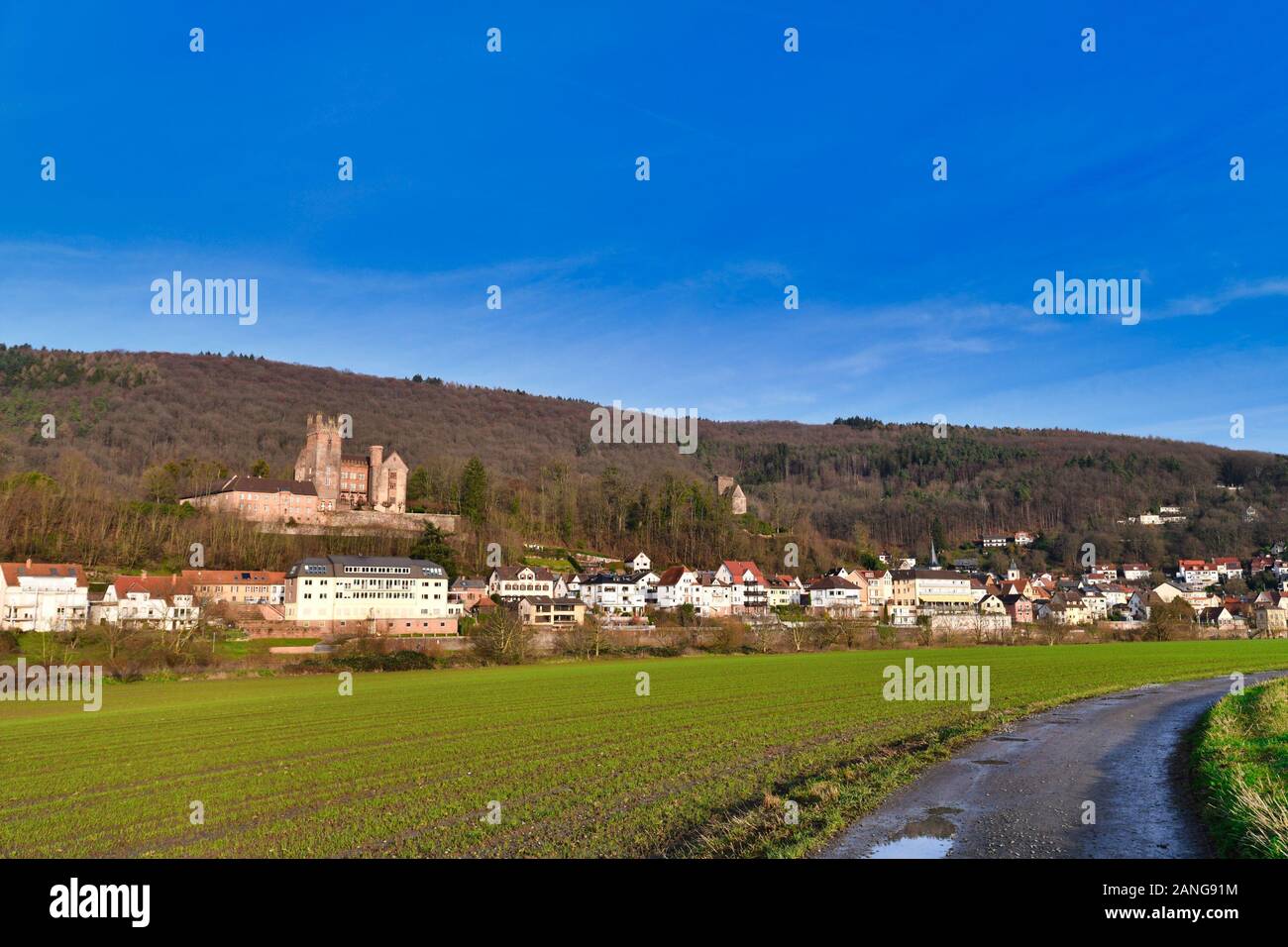 Vista sulla foresta Odenwalf con edifici e ben conservato e abitato medievale Collina tedesca castello chiamato 'Mittelburg', nella città tedesca Neckarsteinach Foto Stock