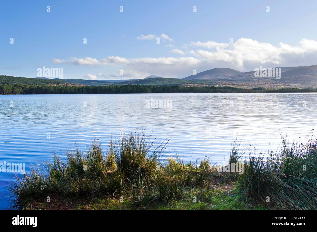 Loch Garten, Abernethy National Nature Reserve, Cairngorms National Park, Scottish Highlands, soleggiato e sereno autunno tempo UK. Foto Stock