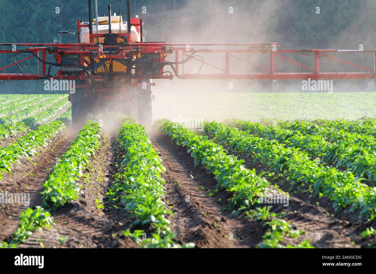 irroratrice di pesticidi su un campo con verdure Foto Stock