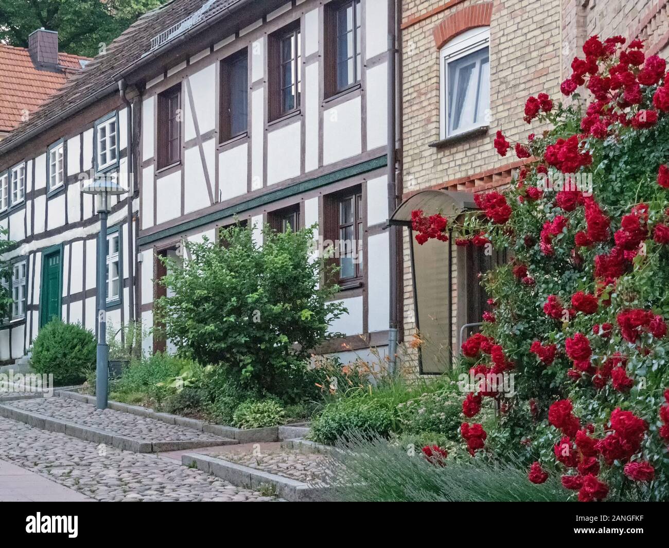 Tipiche case a graticcio nella città vecchia di Sternberg, Meclemburgo-Pomerania Occidentale, Germania Foto Stock