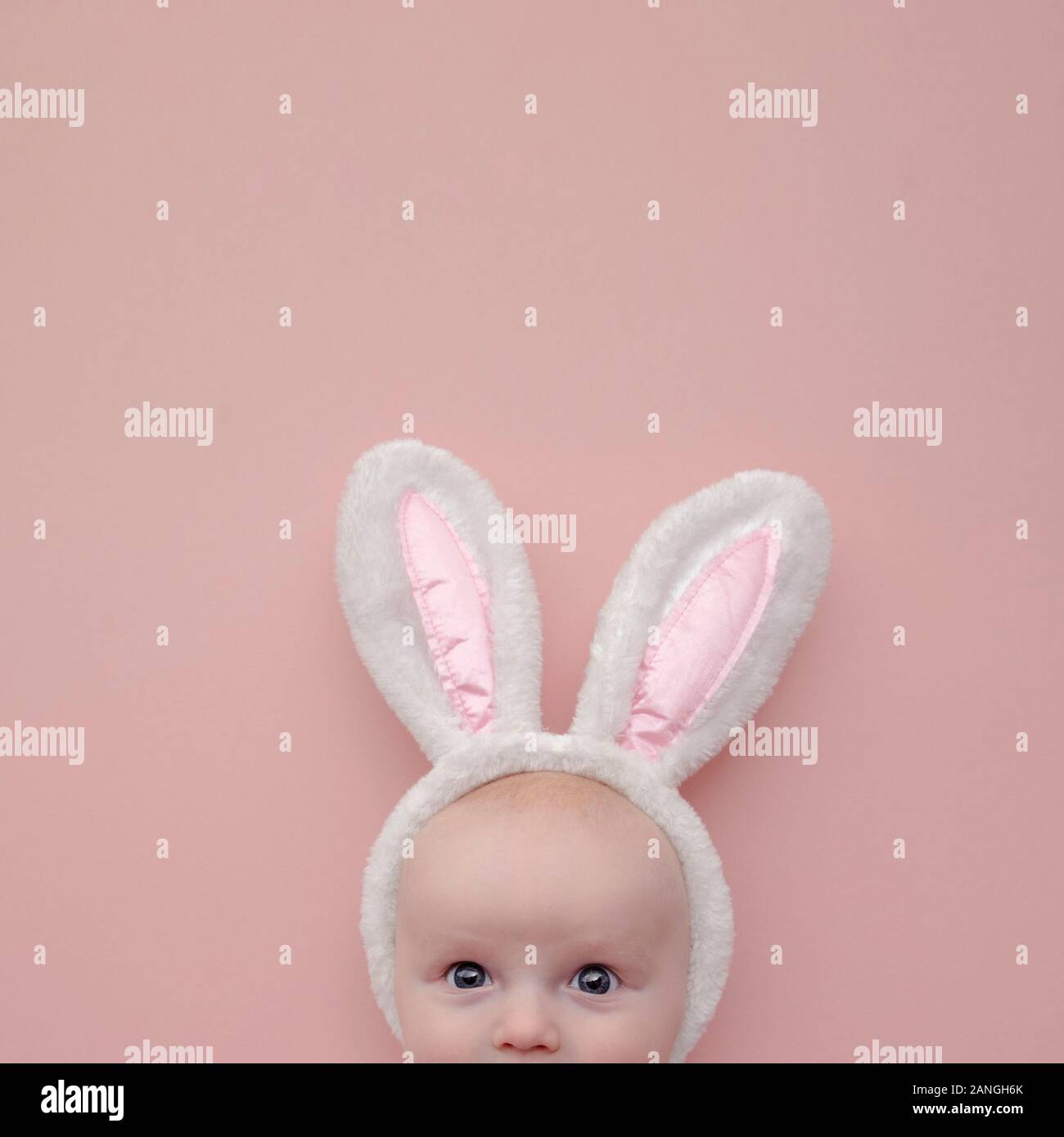 Pelo Rosa Tessuto Piccolo Bambino Easter Bunny Rabbit Orecchie Fascia Alice 
