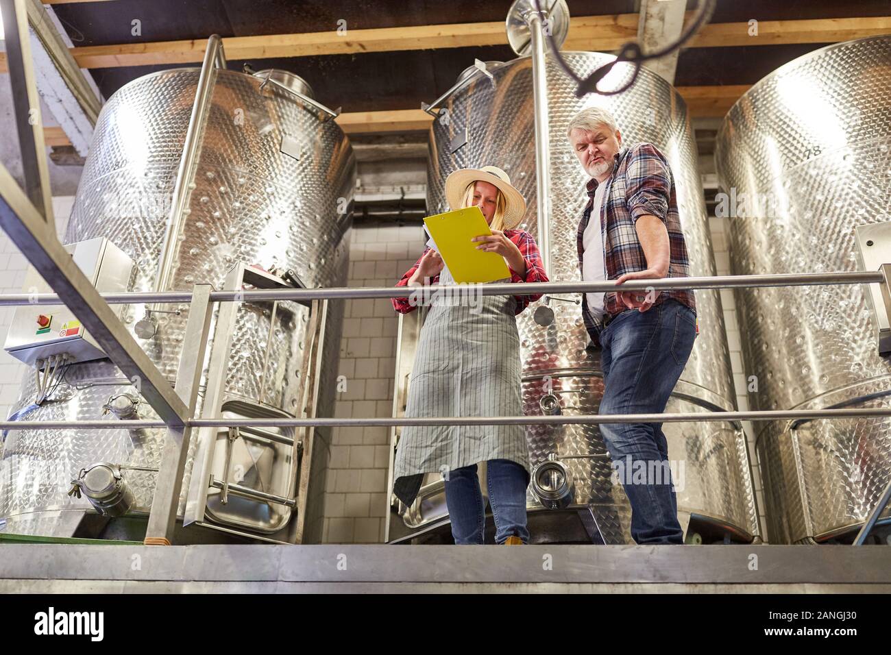Enologo squadra con la lista di controllo controlla la produzione di vino presso il serbatoio di fermentazione Foto Stock