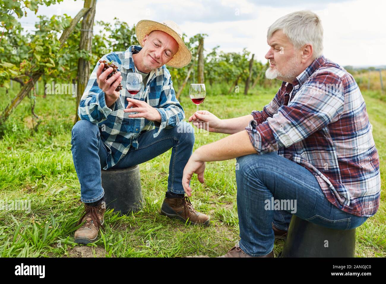 Due i viticoltori di discutere il raccolto e bere il vino rosso con esso Foto Stock