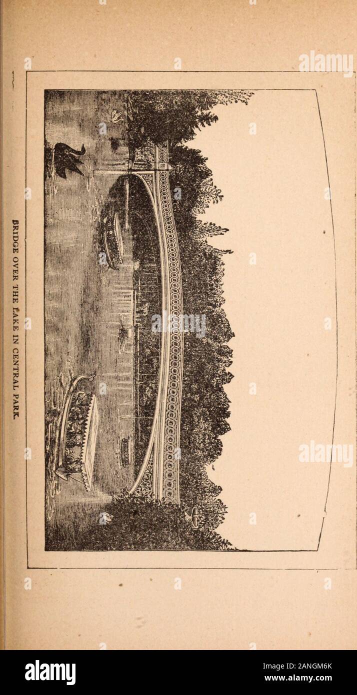 New York da luce solare e gaslight : un lavoro descrittivo della grande metropoli americana ; la sua alta e la vita bassa; i suoi splendori e miserie; le sue virtu . roccia sulla quale lei sembra hover leviti sgorga nel bacino superiore, emblematico ofTemperance, purezza, salute e pace. Al feetof queste figure è una seconda e più grande bacino, fromwhich l'acqua cade nella piscina circolare al di sotto. Thefountain svolge costantemente durante il clima mite, butin inverno è coperto sopra, per proteggerlo dalla severefrosts. È estremamente delicata e bella in con-cezione ed esecuzione e è deserv Foto Stock