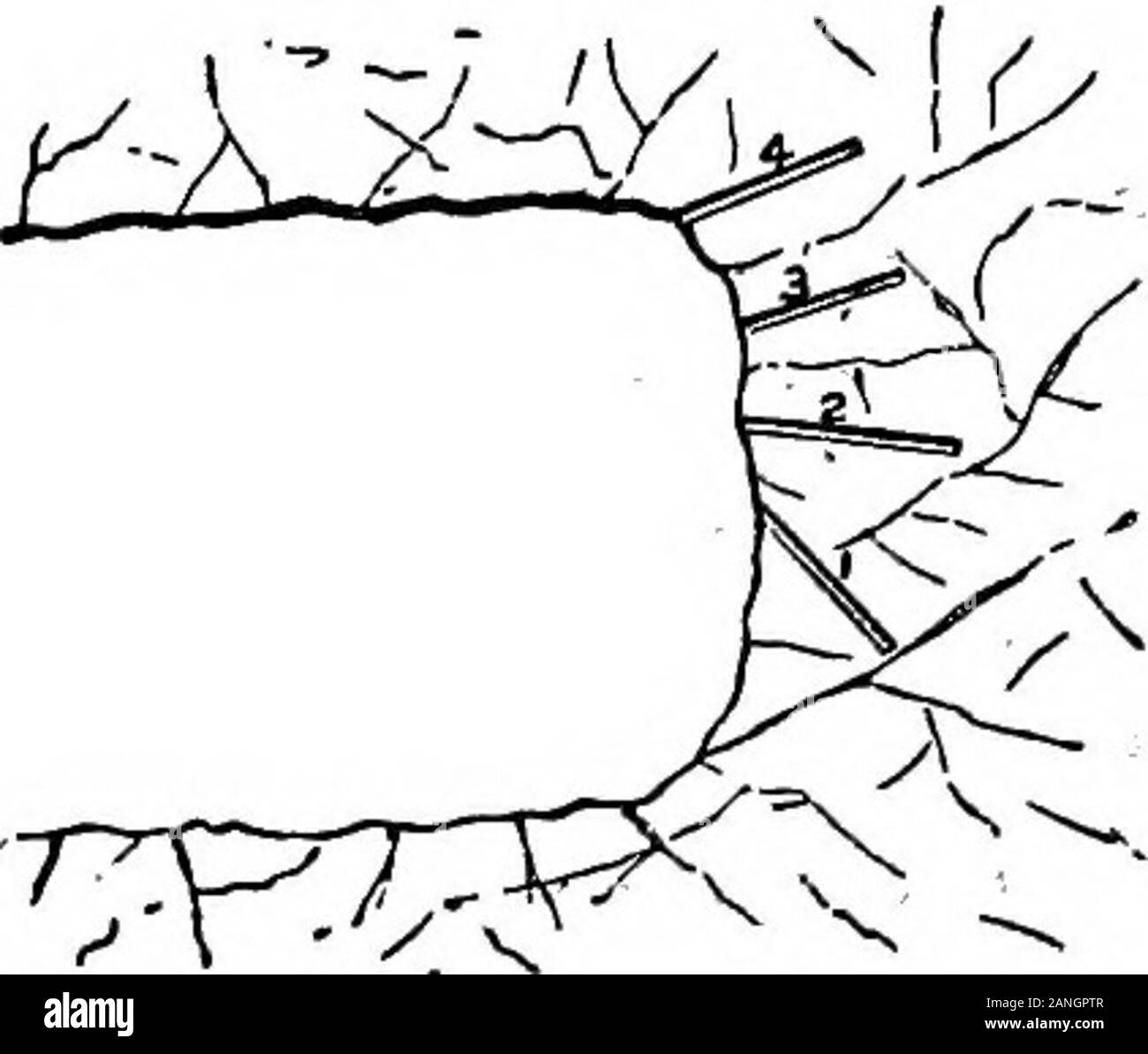 Il encyclopdia britannica; un dizionario delle arti, delle scienze della letteratura e informazioni generali . e posizione richiesta,e colpire una rapida successione di colpi di luce. Un gran numero di punte ofmechanical azionati a mano il potere è stato inventato.Alcuni imitare mano-foratura nella modalità di erogazione il colpo; è stato usato con successo in miniere di carbone, vale a dire la coclea rotante trapani,montato su colonne di luce e pilotato attraverso ingranaggi di trasmissione da dinunutt^motori. Questi sono destinati ad essere noioso in carbone, ardesia o altro materiale similarsoft. Le coclee di mano che assomiglia a un falegname s bretella ana oilare spesso utilizzati anche in collie Foto Stock