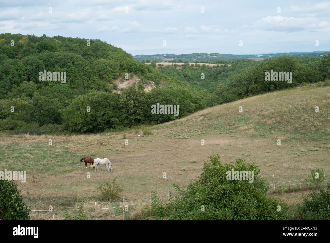 Colline ondulate nei pressi di Cahors in Francia Foto Stock