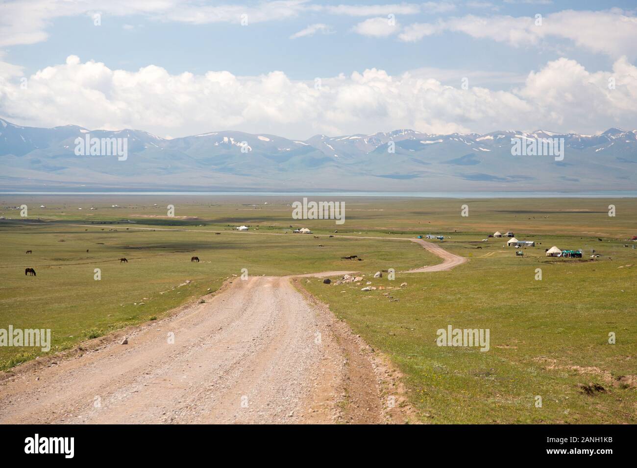 Regione della Song Kol in Kirghizistan. Foto Stock