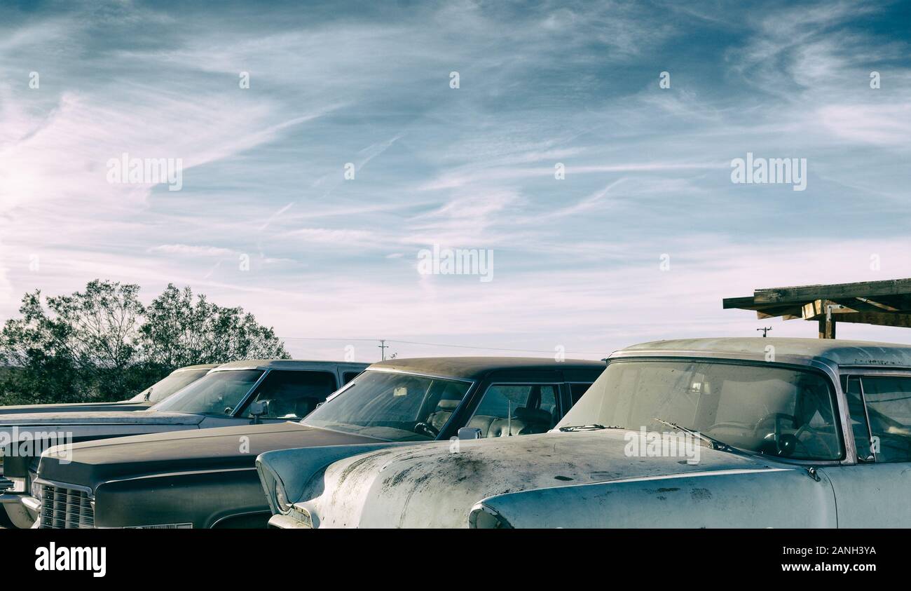 Abbandonato vintage American cars coperto dalla polvere. Foto Stock