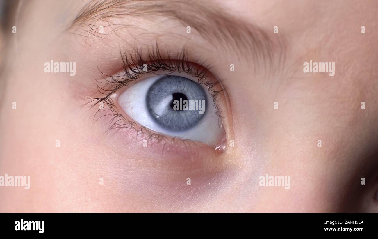 Vista dettagliata del bambino blu occhio, concetto di genetica tratti ereditati, sguardo innocente Foto Stock