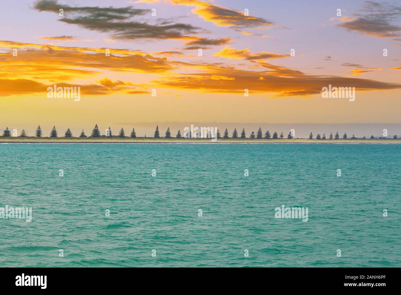 Acqua del mare turchese e la fila di alberi di conifere al tramonto - minima paesaggio con spazio di copia Foto Stock