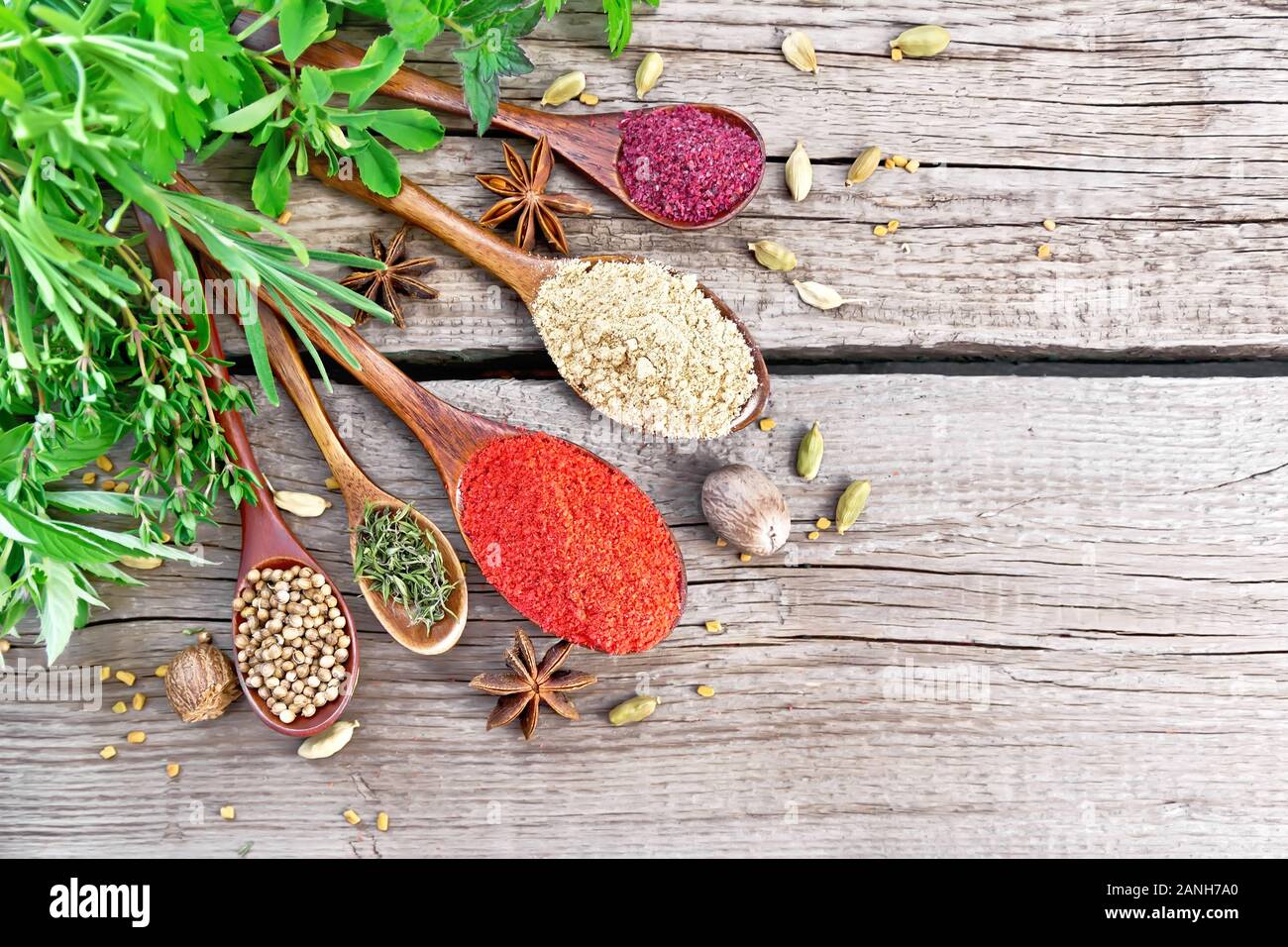 Peperoncino, lo zenzero e coriandolo, timo essiccato e sumac in cucchiai, noce moscata, cardamomo, anice stellato e fieno greco, rosmarino, prezzemolo, timo, menta e saporito Foto Stock