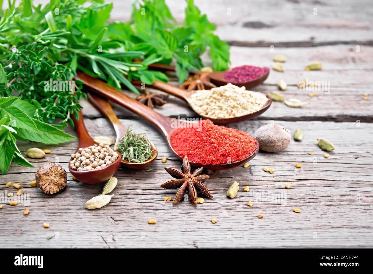 Peperoncino, lo zenzero e coriandolo, timo essiccato e sumac in cucchiai, noce moscata, cardamomo, anice stellato e fieno greco, rosmarino, prezzemolo, timo, menta e saporito Foto Stock