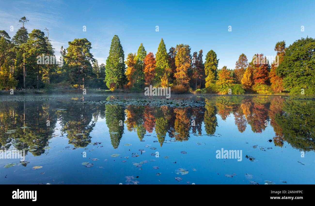 Autunno riflessioni a Bedgebury Pinetum Nazionale e la foresta nel Kent. Foto Stock