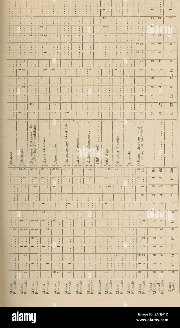 Provincia di Ontario - statistiche vitali . Â ¢ iâi 1 â ¢ â ¢ â xvbA x Japuj^ rH r tH t- cause di morte. rI 3 3PD 63 H d - eg-iD o d o 3 g. Sh o Ft Â©-(J d Â© &lt;*Â£ 8 ,4â u .eS s , V .2 H g o d o &gt;&GT; H u &gt;Â©PR-*= 031 o m co u 03&GT;03 Fh Â© rd 03OS eS it f O bedELo o c;dBJZ 3 Â© â ¢ In modo3a! G dMx rH CO â ¢ tHCM i-l rH NH â ¢ o 1 â ho rH t Tâ1 rH 1 02 w o â¢jaqraaoaQ; â¢co MM I*1 ;-| â¢aaquiaAojsj 1-1 . CM i-l â ¢ T-l â ¢ â¢Jtaqo^oQ Tâ! | â¢tH rH â¢jaqra^dag H MM CM â ¢ â ^gnSny rtil i 1 ml M I1 H â ¢ â ¢ 11 â iCpr tH 1 rn | : : 1 : : : 1 : tt&lt;rH â¢un imp r1 : : 1 :â ¢ : 1 : MM â ¢ â ¢ 1 rH â ¢ â¢Atepj[ Foto Stock