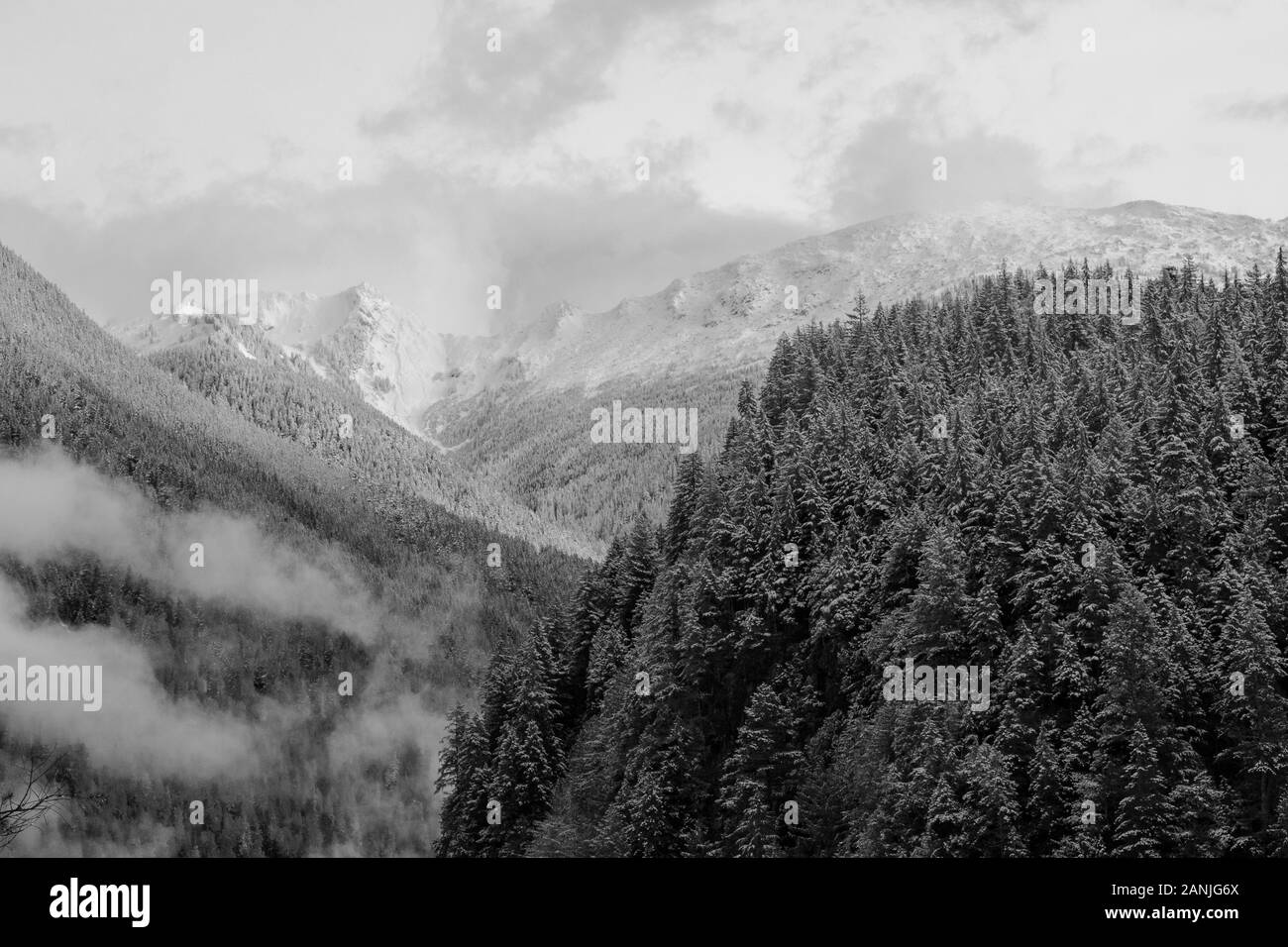 Inizio di stagione di neve in North Cascades, nello Stato di Washington Foto Stock