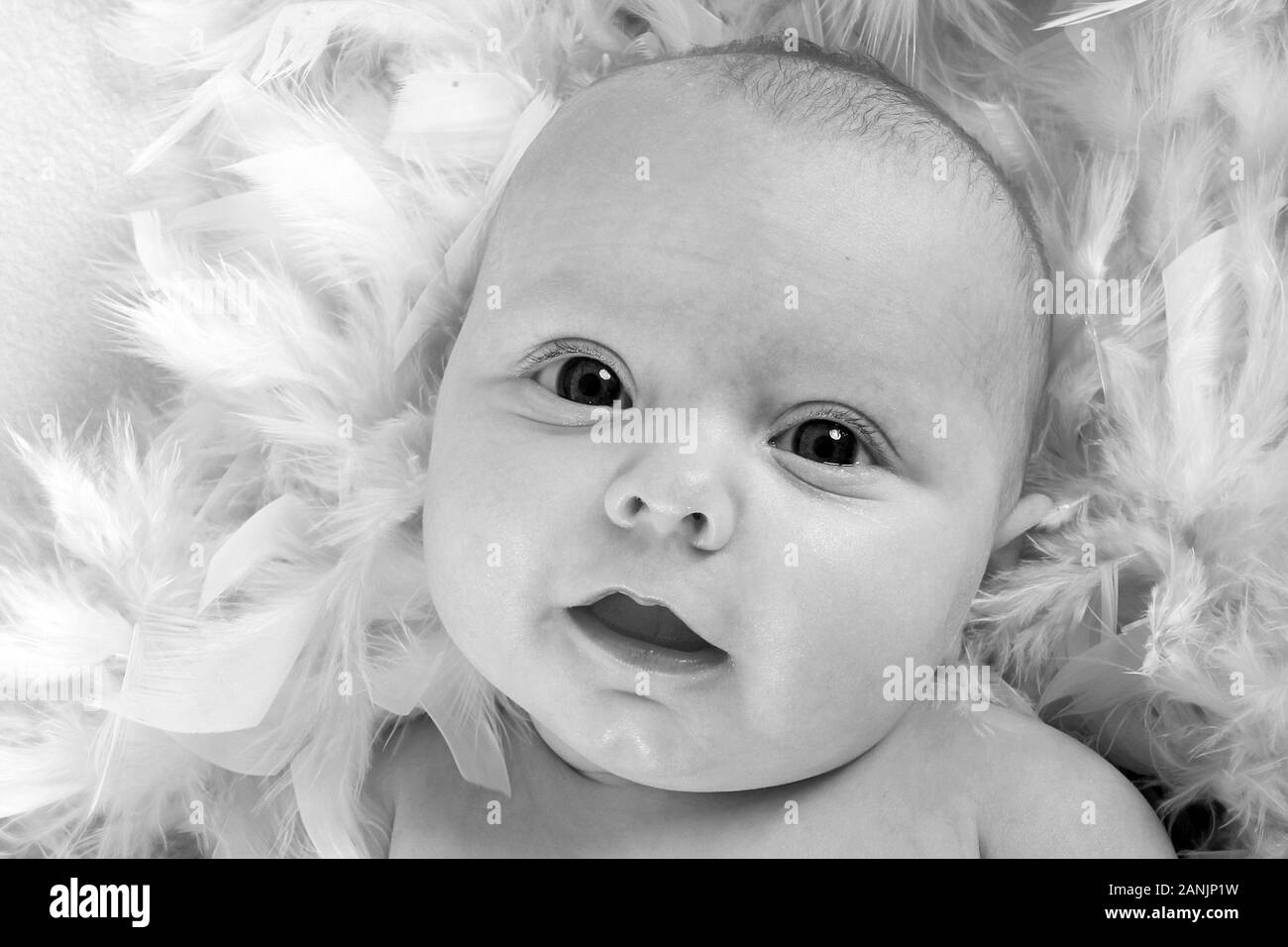 3 mese fa Baby girl Foto Stock