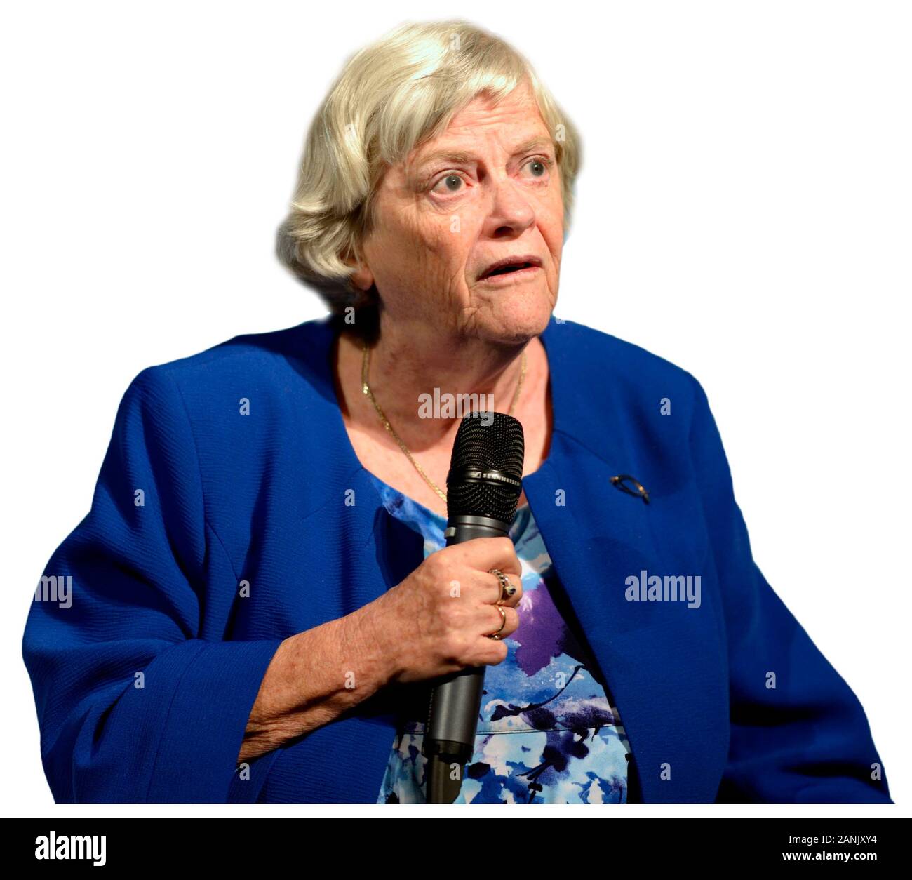 Ann Widdecombe MEP che parla a un raduno del Partito Brexit al Kent Event Center nella sua ex circoscrizione parlamentare di Maidstone, nel Kent, nel Regno Unito. 2019 Foto Stock