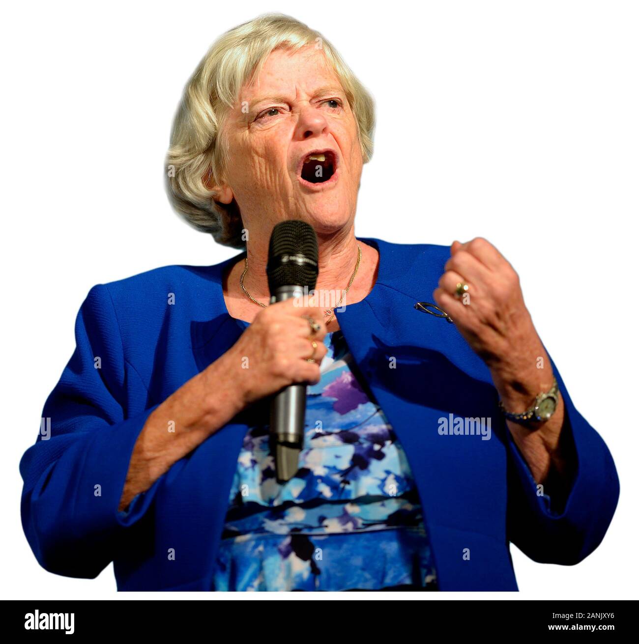 Ann Widdecombe MEP che parla a un raduno del Partito Brexit al Kent Event Center nella sua ex circoscrizione parlamentare di Maidstone, nel Kent, nel Regno Unito. 2019 Foto Stock