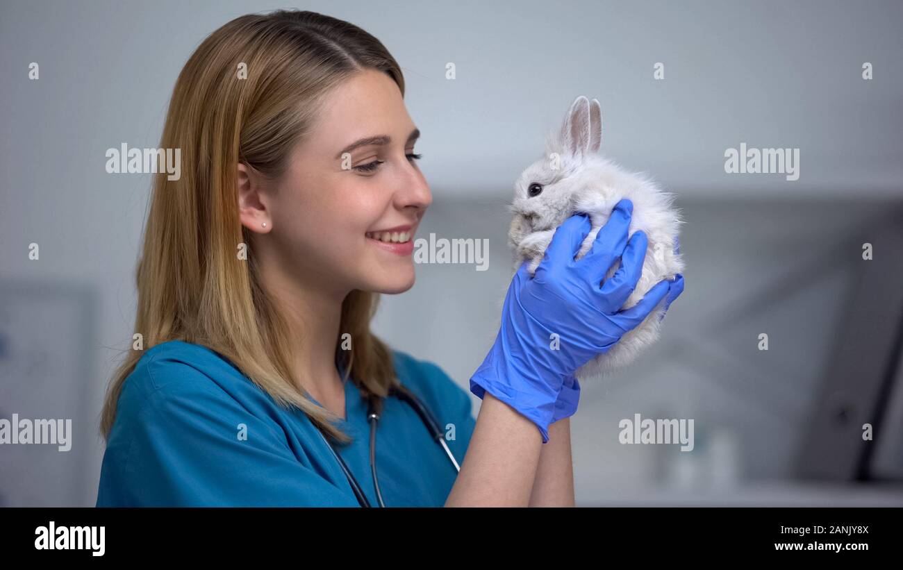 Giovani femmine vet giocando con il coniglietto, amore e cura per il paziente in ospedale per animali Foto Stock