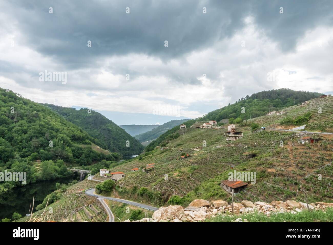 Montagne con piantagione di uva e vista di una casa Foto Stock