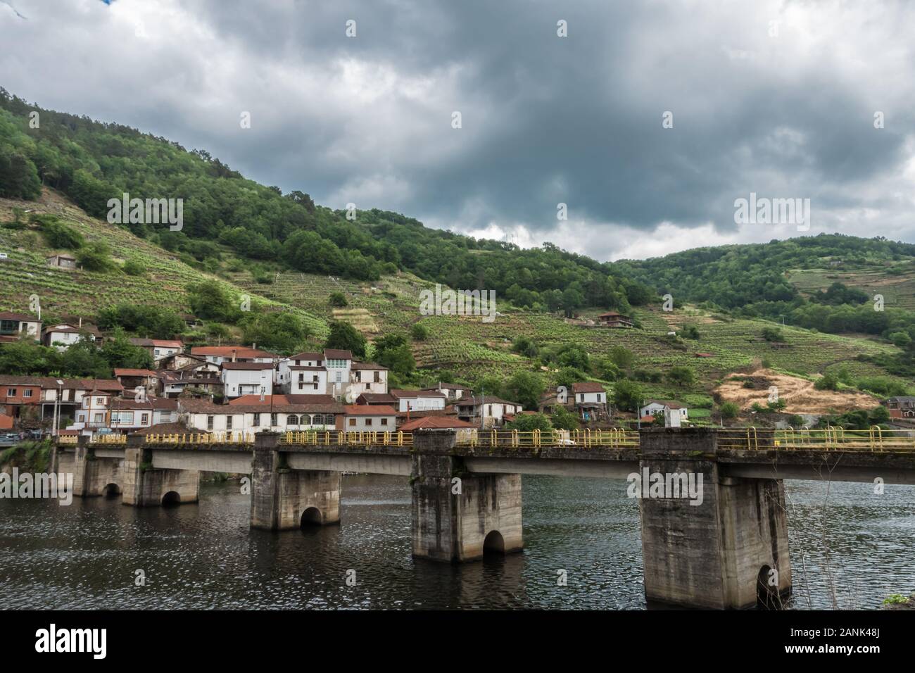 Montagne con piantagione di uva e vista di una casa Foto Stock