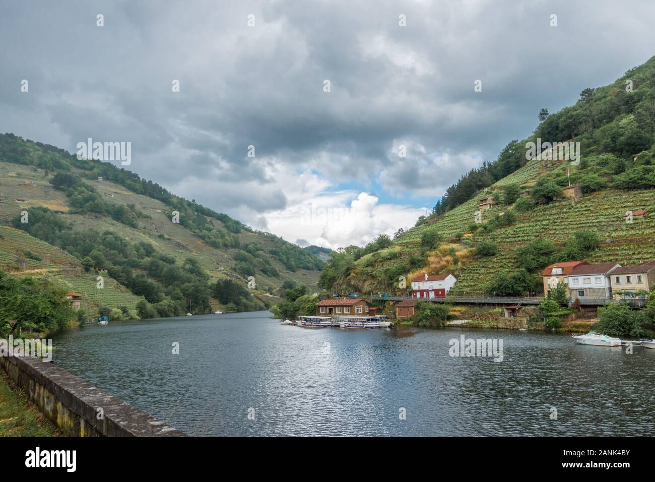 Montagne con piantagione di uva e vista di una casa Foto Stock
