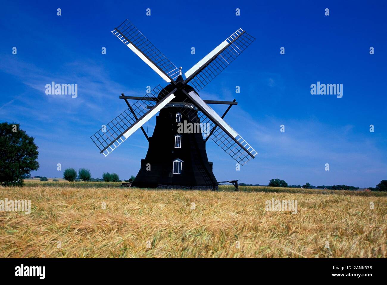 Mill in Skegrie vicino a Trelleborg, Skane, Svezia, Scandinavia, Europa Foto Stock