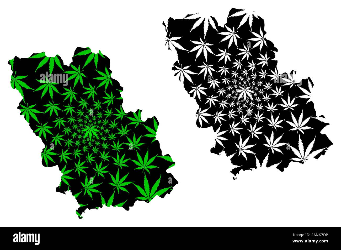 La Contea di Prahova (divisioni amministrative della Romania, Sud - sviluppo Muntenia regione) mappa è progettato Cannabis leaf verde e nero, Prahova mappa mad Illustrazione Vettoriale