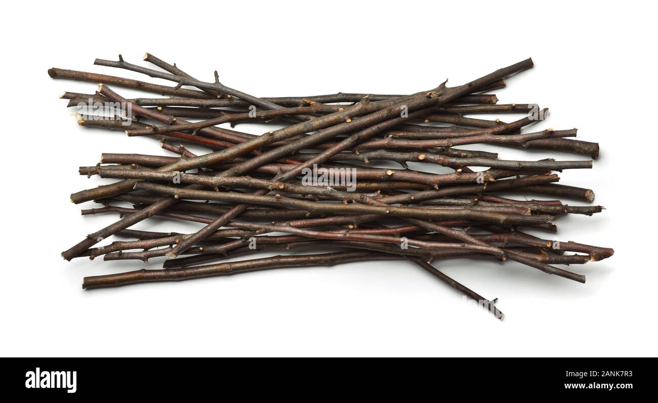 Vista superiore del legno secco ramoscelli isolato su bianco Foto Stock